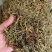中药材软肝草新货无硫保证质量价格便宜