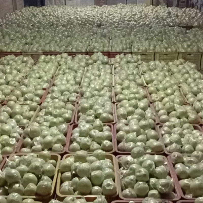 皇冠梨膜袋纸袋陆续上市了