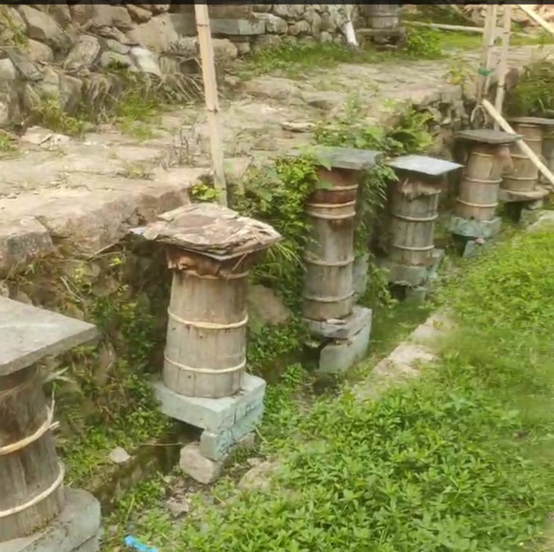 蜂蜜生产工艺对比示意图