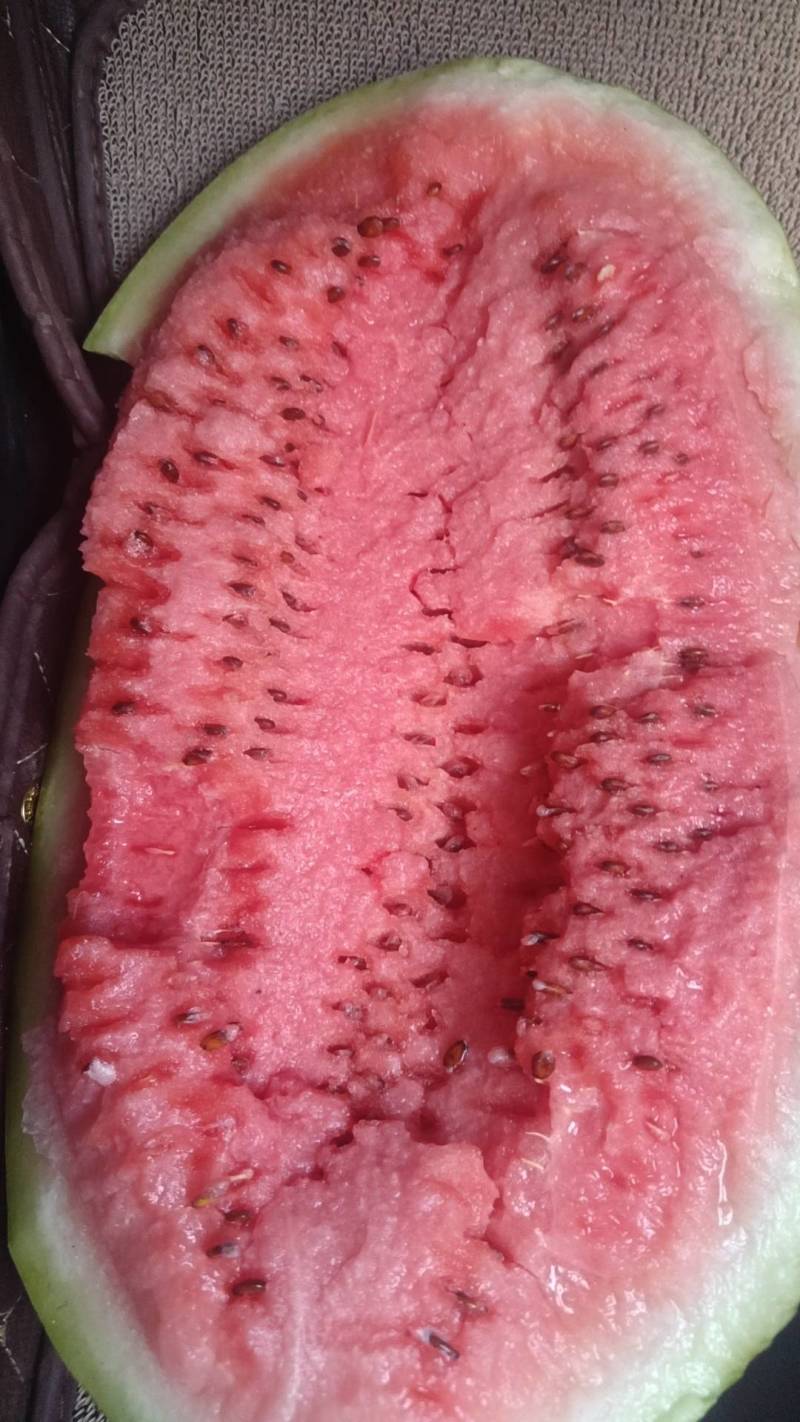 宁夏硒砂瓜