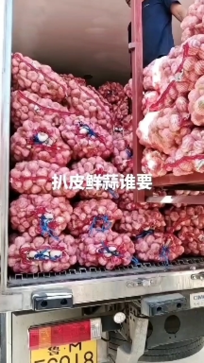 扒皮鲜蒜