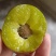 批发四川半边红脱骨李，脆红李子口感脆甜，味道好全国发货