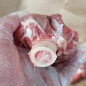 福利产品，多肉羊棒骨9元一斤，实拍图