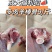 福利产品，多肉羊棒骨9元一斤，实拍图