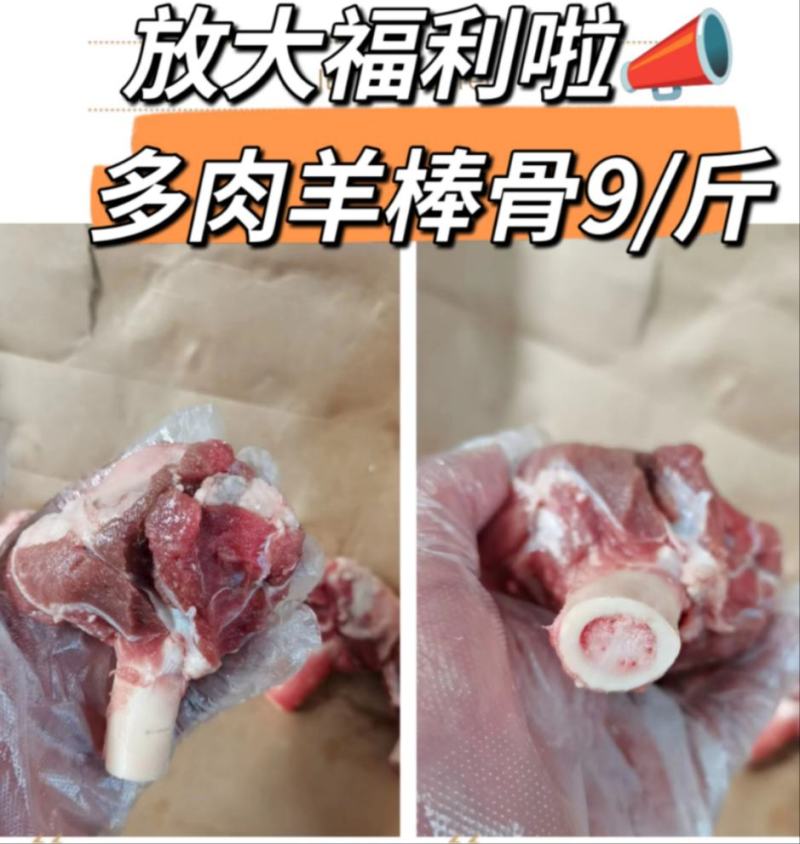 福利产品，多肉羊棒骨9元一斤，实拍图