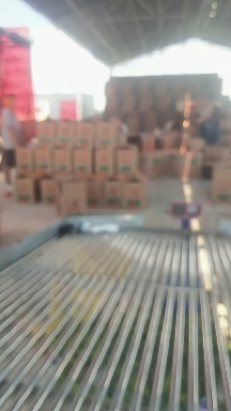 芜湖椒辣椒现货供应可对接商超货源充足