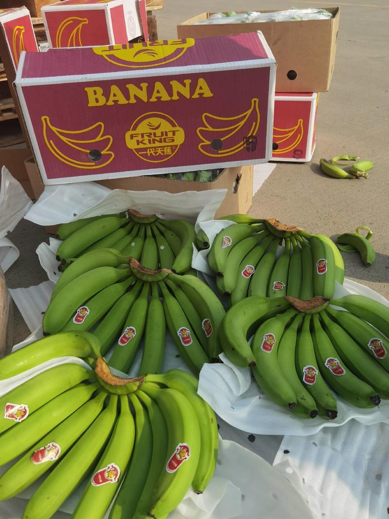 各种品牌香蕉原产地直发