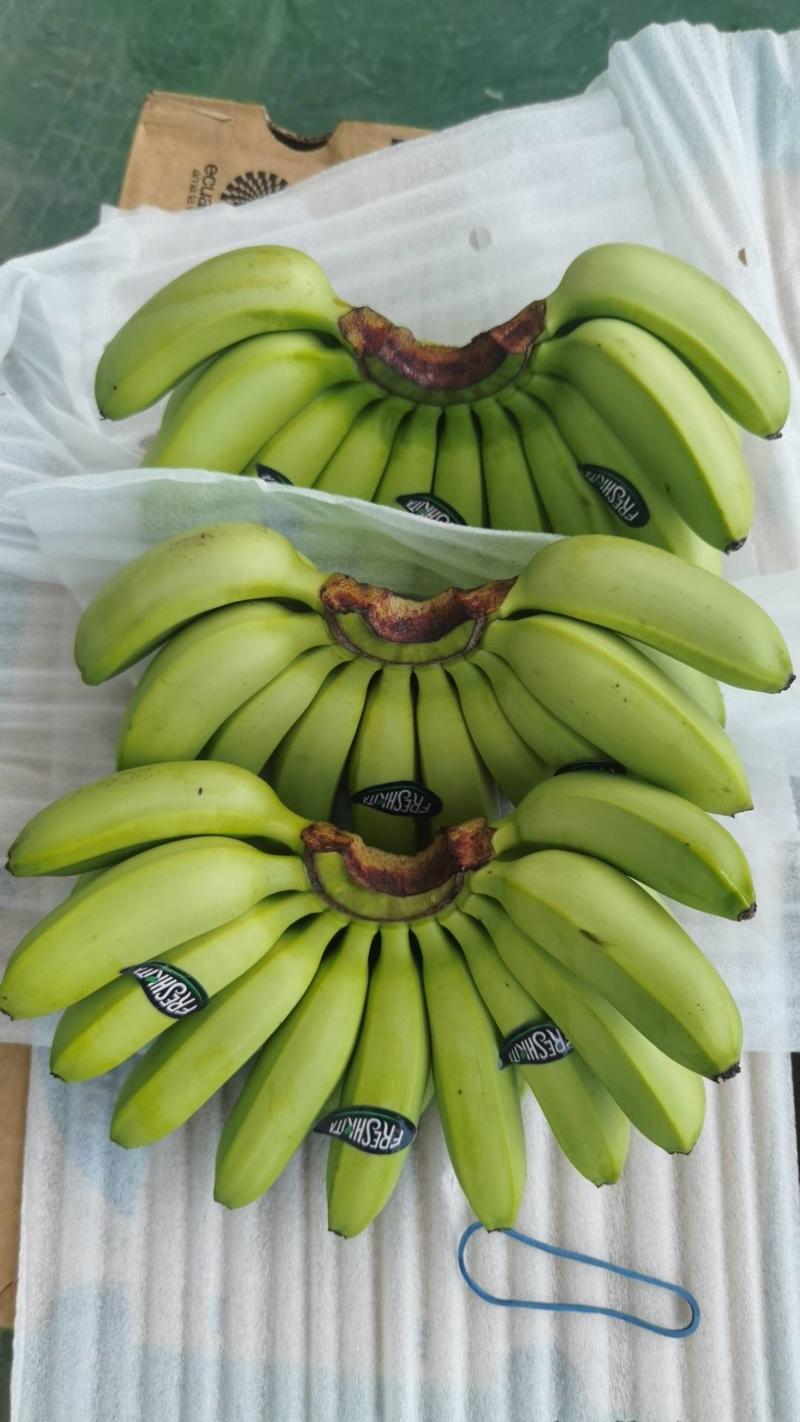 各种品牌香蕉原产地直发
