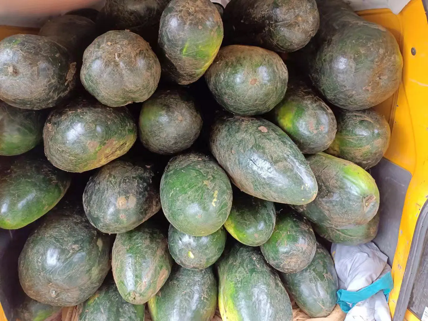 腹透病人餐桌上搭配的低钾蔬菜组合