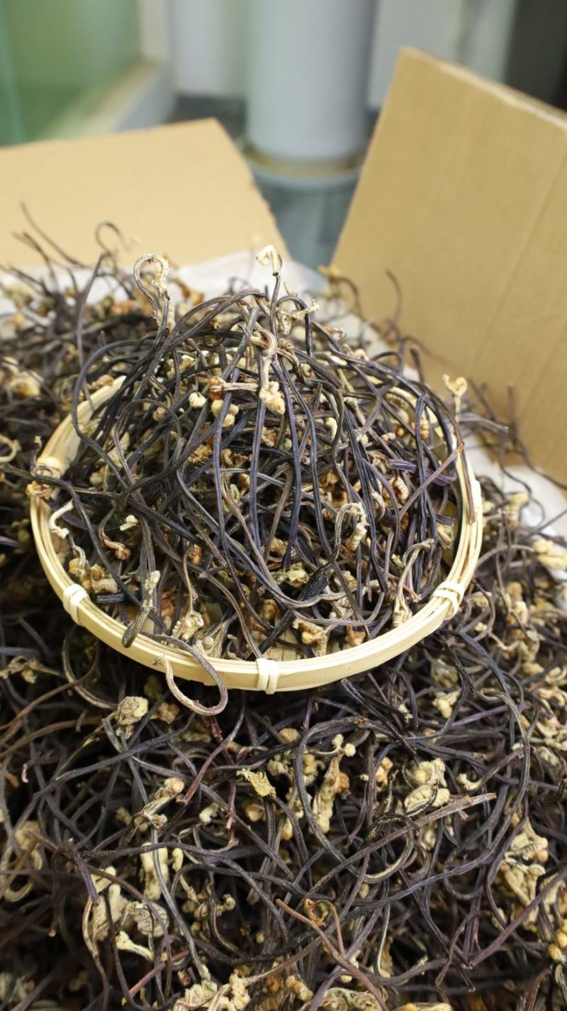 云南本土精品蕨菜干，品质保证，量大从优，精品货
