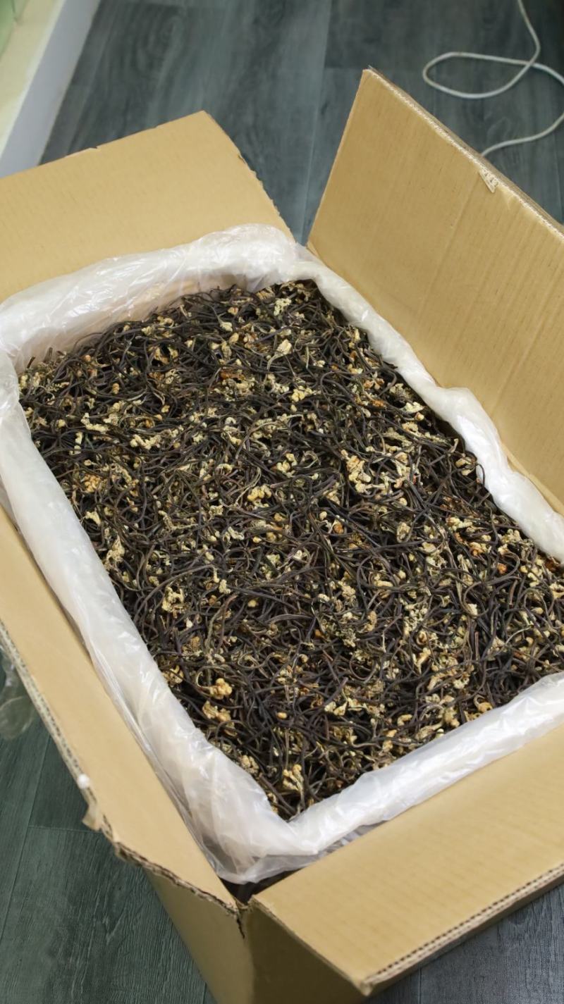云南本土精品蕨菜干，品质保证，量大从优，精品货