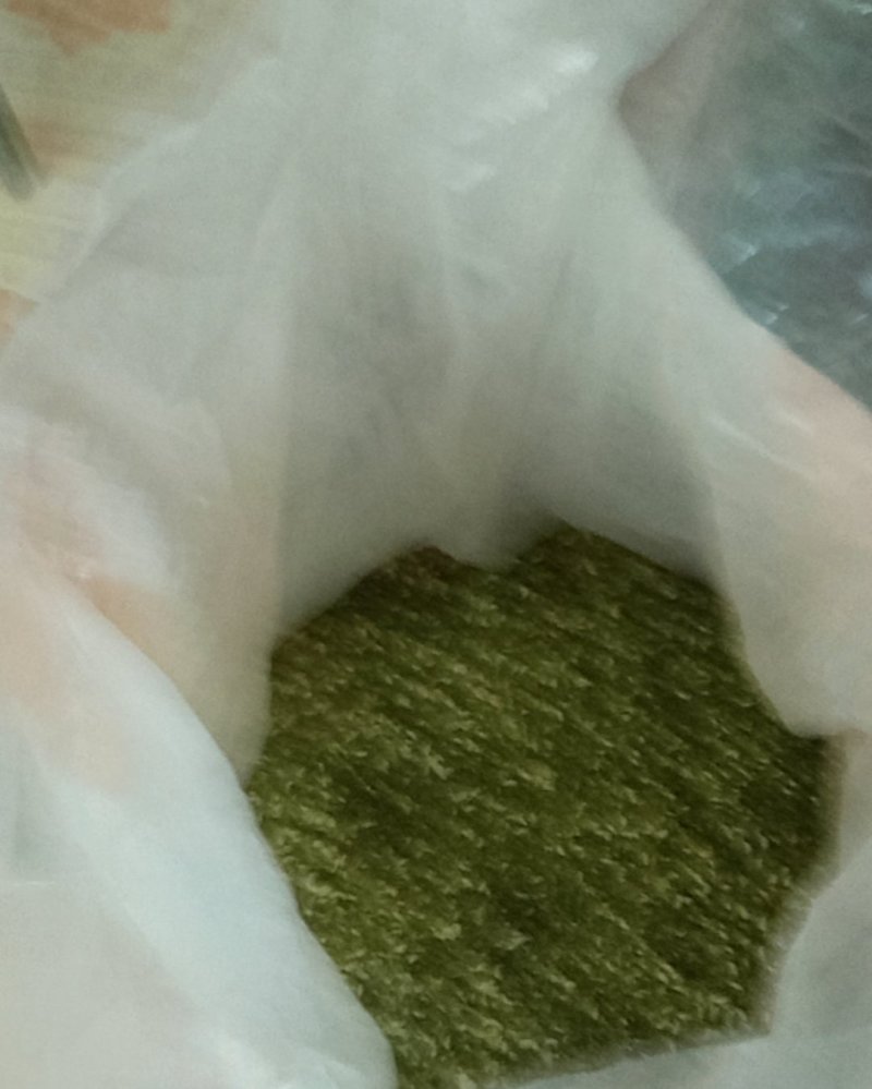 我想卖槐米