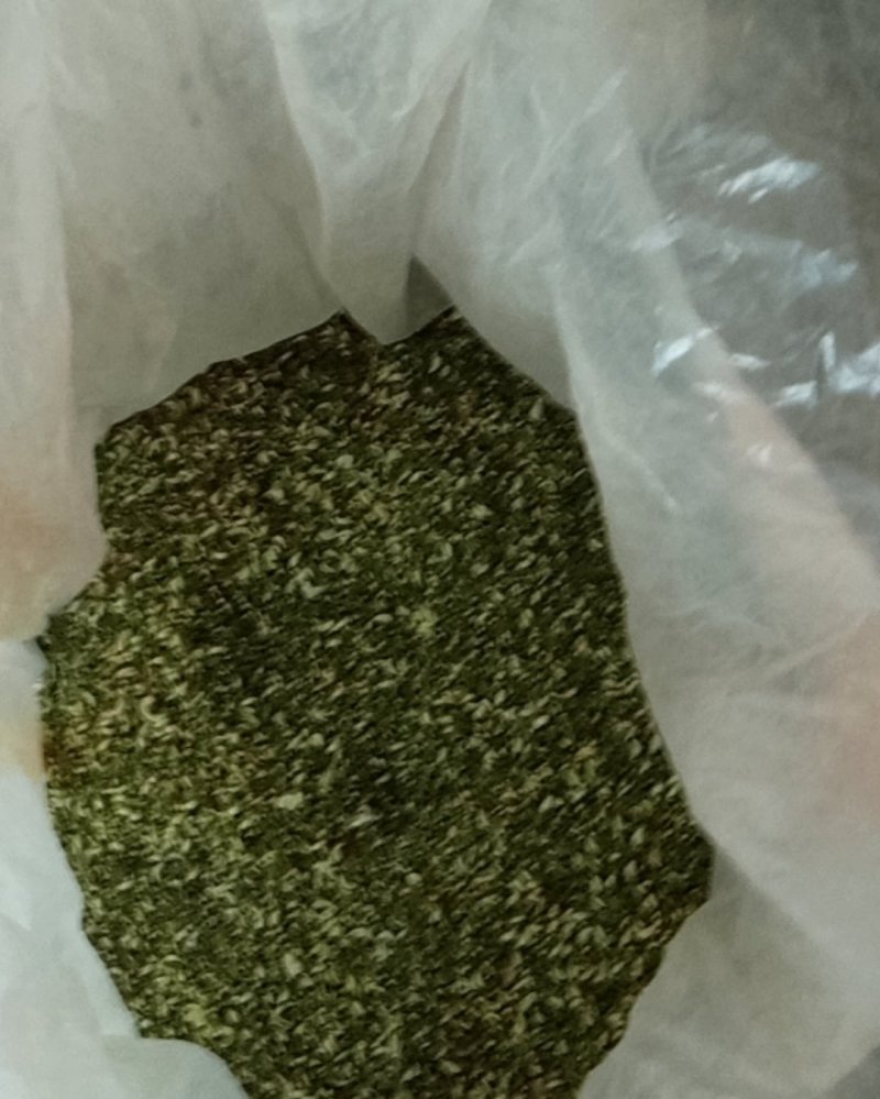 我想卖槐米