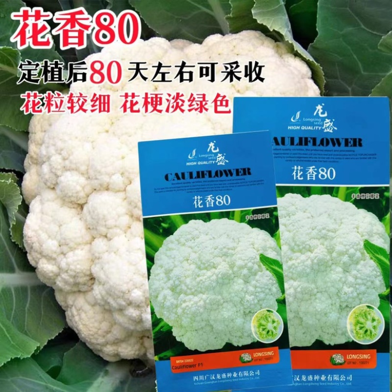 花菜种子，花香80天有机花菜种子
