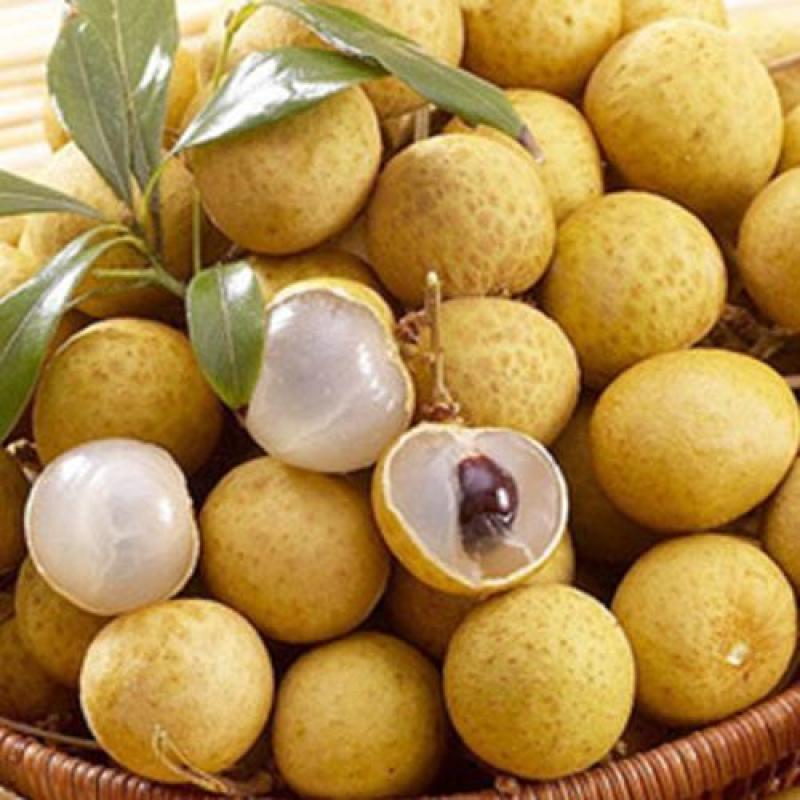 优选《石硖龙眼》价格美丽，量大从优，电商，市场，商超，