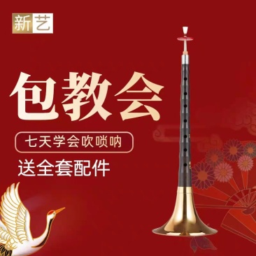 新艺演奏专业乌木唢呐乐器全套d调D调初学者入门小号喇叭哨