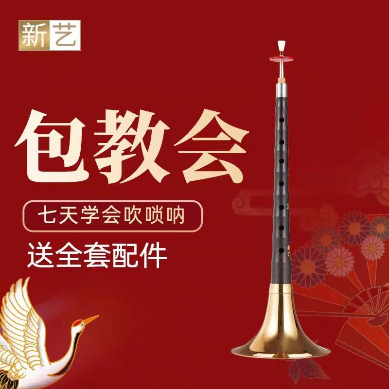 新艺演奏专业乌木唢呐乐器全套d调D调初学者入门小号喇叭哨