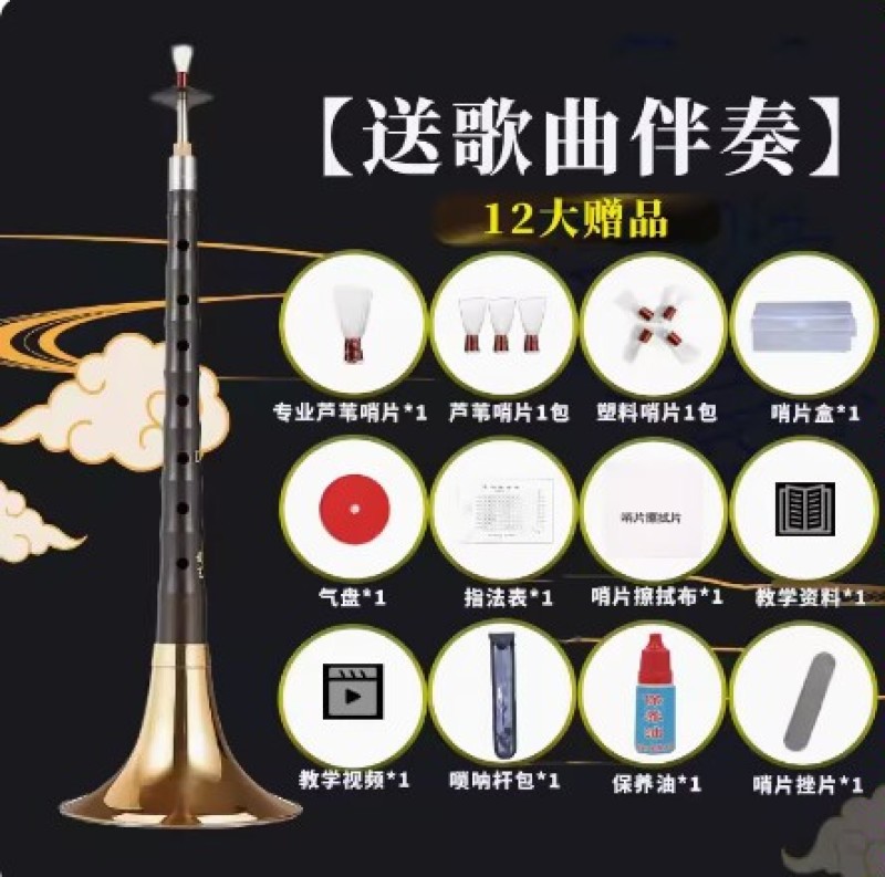 新艺演奏专业乌木唢呐乐器全套d调D调初学者入门小号喇叭哨