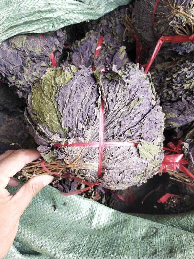 扎把紫苏叶齐手紫苏叶紫苏叶精品紫苏叶