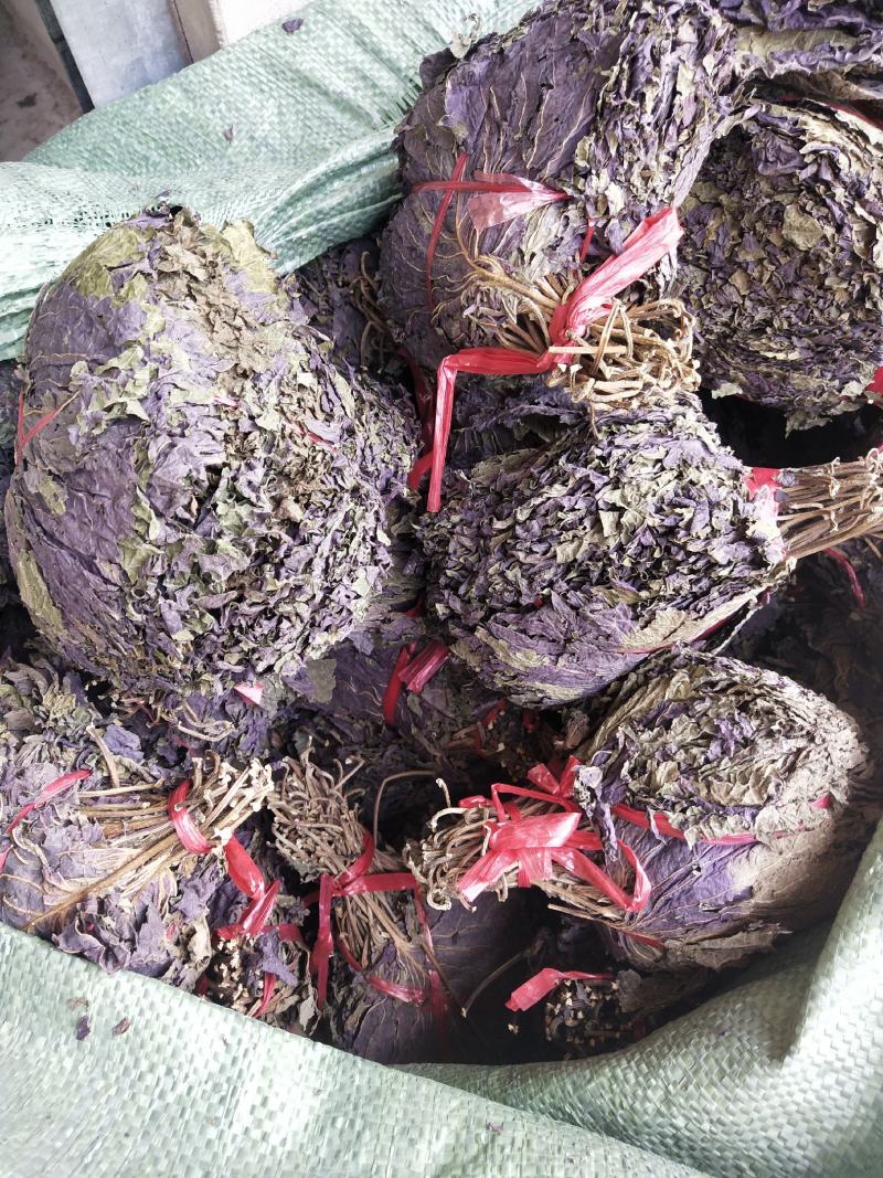 扎把紫苏叶齐手紫苏叶紫苏叶精品紫苏叶