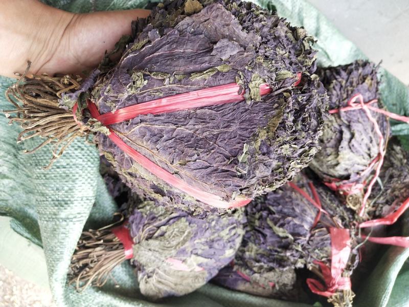 扎把紫苏叶齐手紫苏叶紫苏叶精品紫苏叶