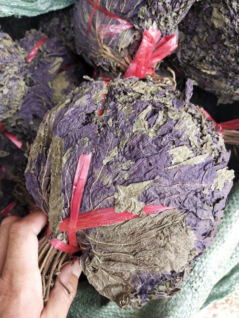 扎把紫苏叶齐手紫苏叶紫苏叶精品紫苏叶