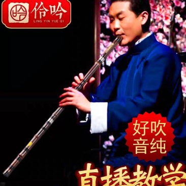 专业演奏洞箫笛乐器高档大人玉初学入门紫竹萧F六八孔G调古