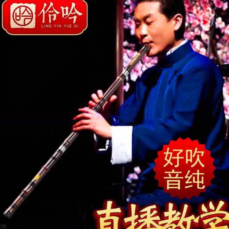 专业演奏洞箫笛乐器高档大人玉初学入门紫竹萧F六八孔G调古