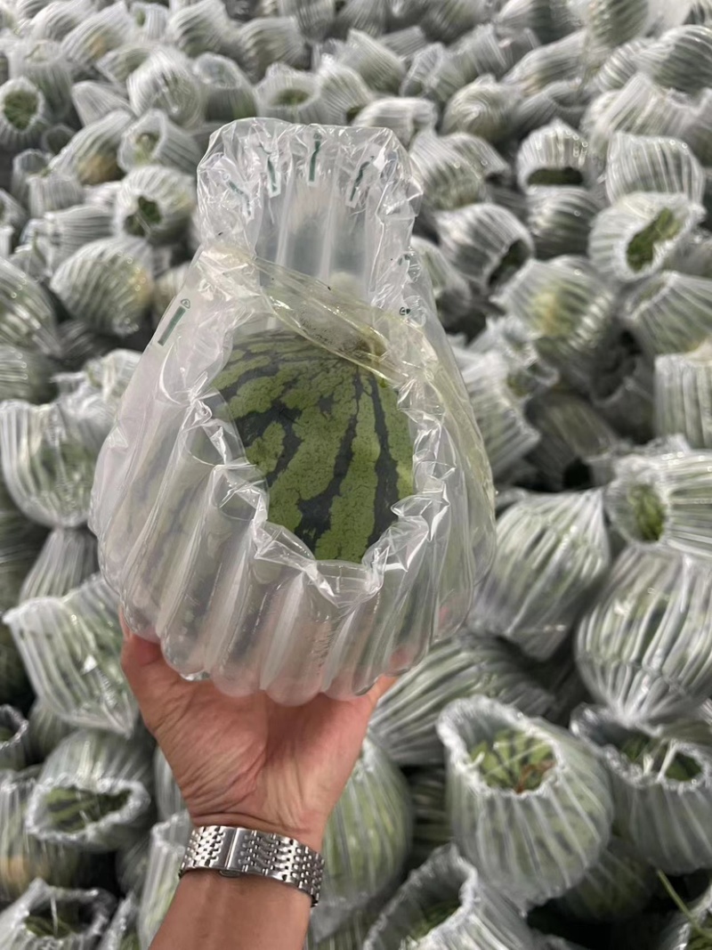 【精选】湖南产地无籽西瓜甜度高包熟全国发货