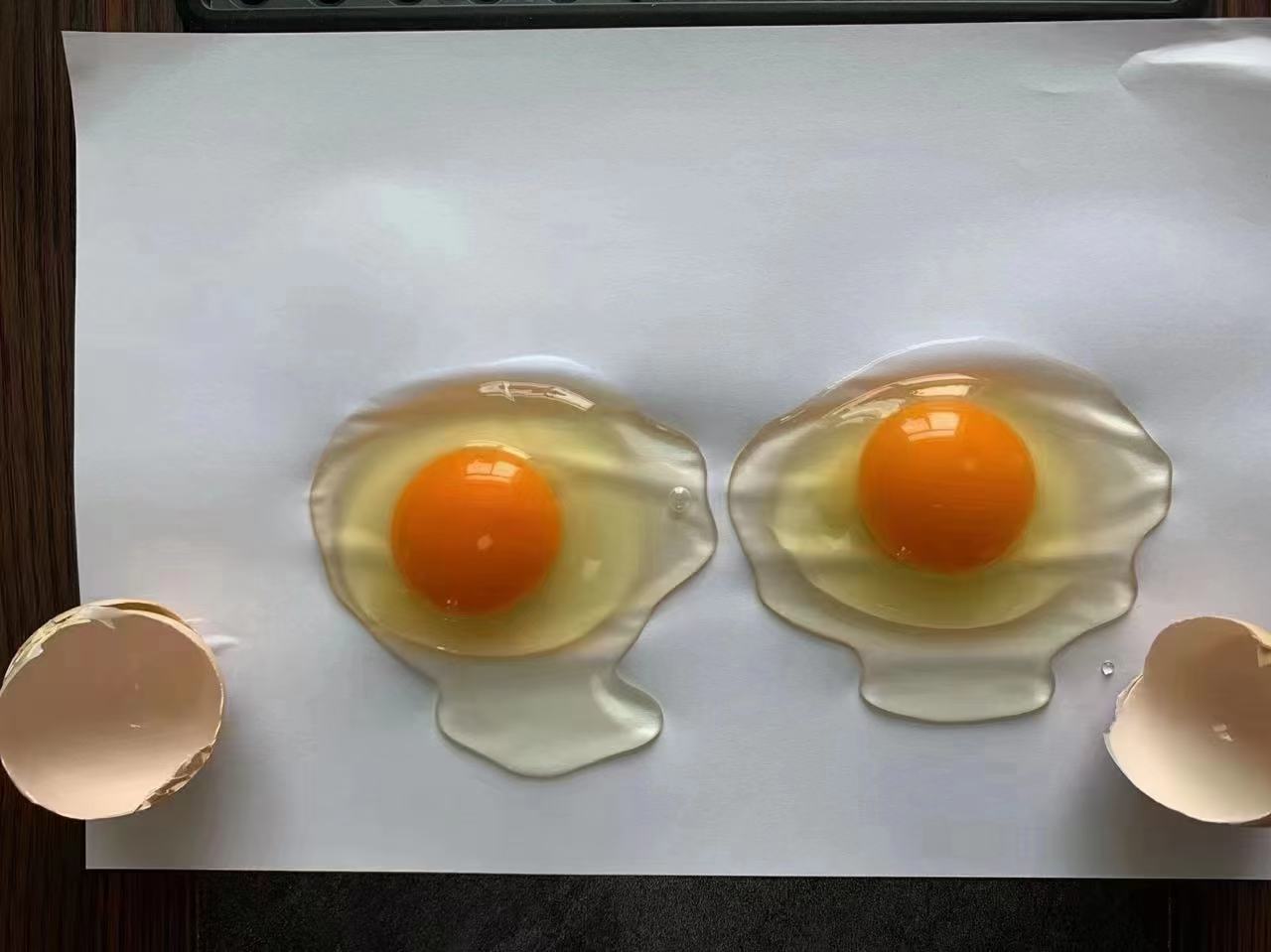 家庭厨房中鸡蛋的应用