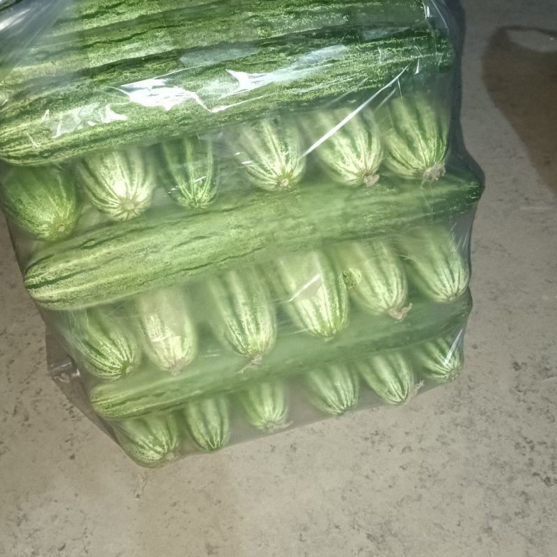 新鲜燕白黄瓜
