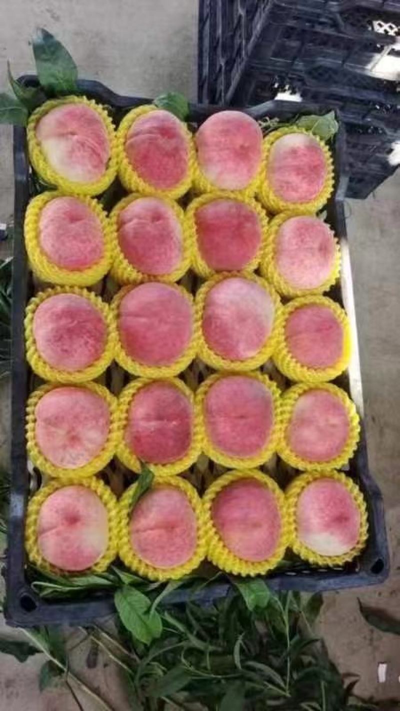 精品纸袋脆甜