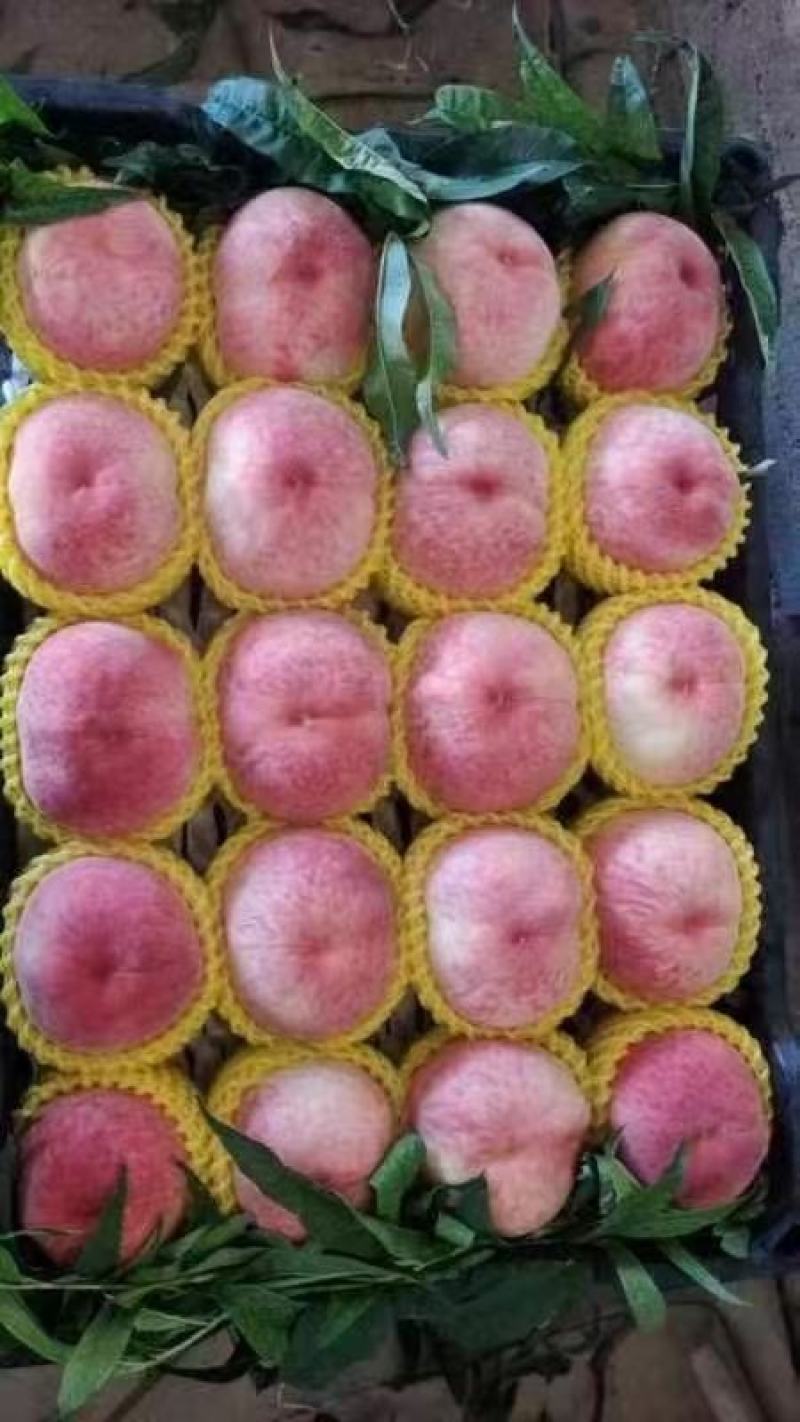 精品纸袋脆甜