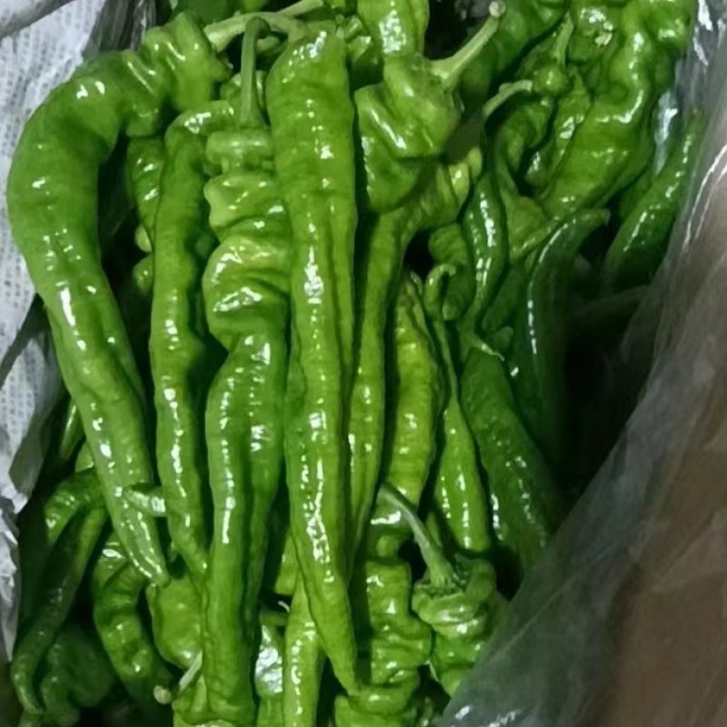 甘肃陇椒辣椒，精品螺丝椒大量有货，一手货源欢迎致电