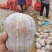 小金香南瓜产地直供瓜甜味糯支持商超电商档口优质货源