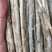金蝉卵枝条，杨枝，大量供货可视频看货基地直供欢迎联系