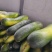 精品黑皮冬瓜大量现货保质保量实力代办全国发货