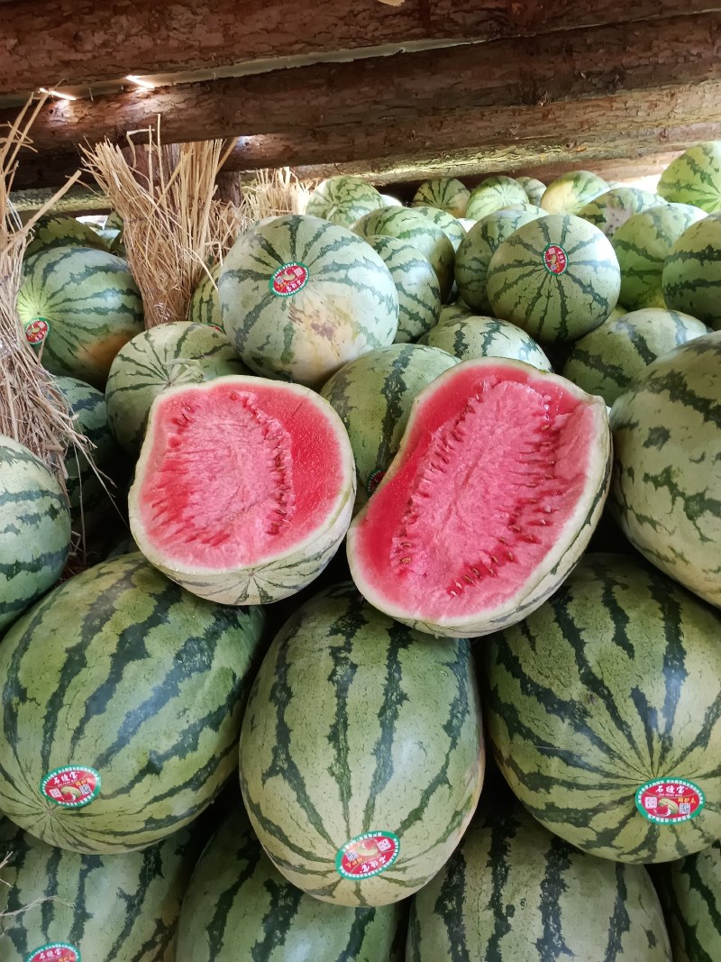 陕西西瓜，精品金花一号西瓜大量上市包熟包甜，量大纯优！