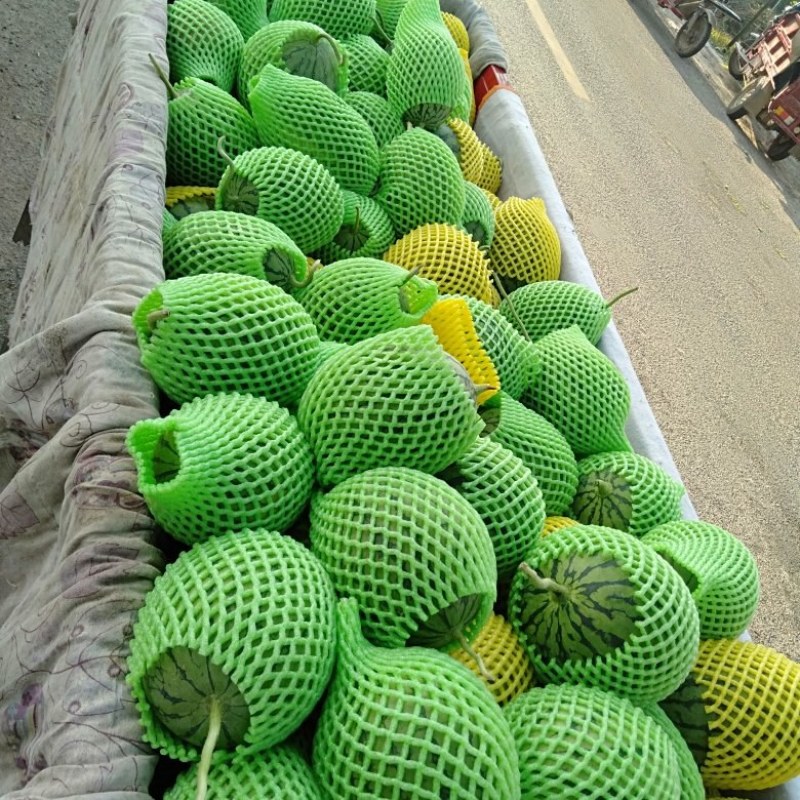 吊篮西瓜