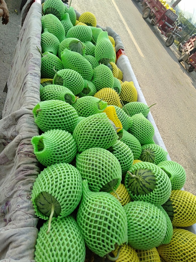 吊篮西瓜