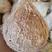 海南新鲜老椰子热带孕妇水果特产现摘去皮沙滩毛椰青煲汤批发