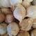 海南新鲜老椰子热带孕妇水果特产现摘去皮沙滩毛椰青煲汤批发
