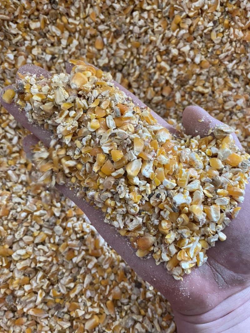 碎玉米毛糠和净粮常年出售养殖碎玉米碎小麦各种粮食筛漏