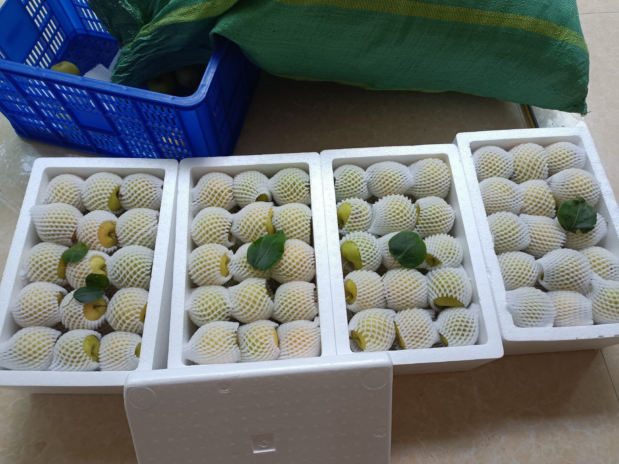 超市水果区货架上并列摆放两组礼盒装梨:左侧为金色包装标注‘精品黄金梨’,果实圆润金黄;右侧为透明礼盒标注‘进口水晶梨’,果实乳白透亮。背景有价格标签显示前者25元/斤,后者16元/斤,购物者正在挑选 黄金梨与水晶梨市场陈列对比图