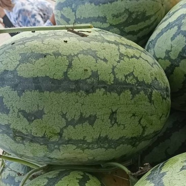 鼎盛大量上市