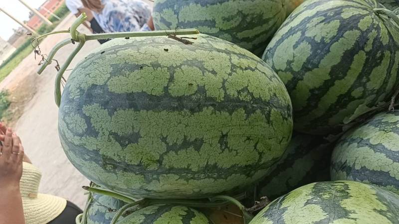 鼎盛大量上市