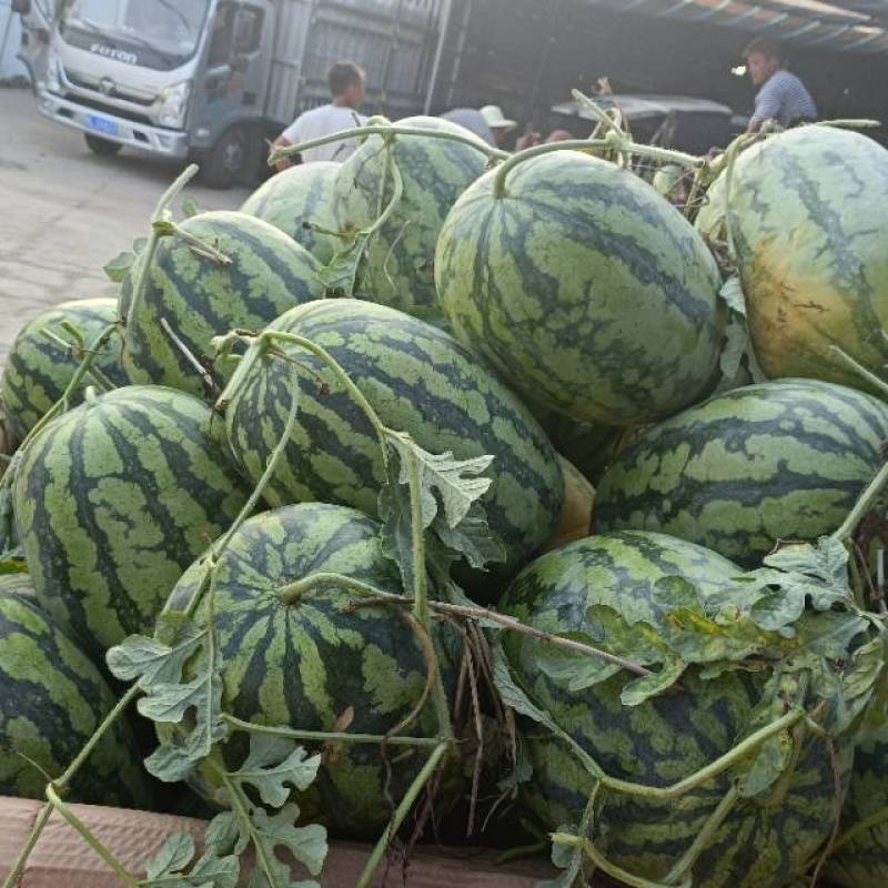 鼎盛大量上市