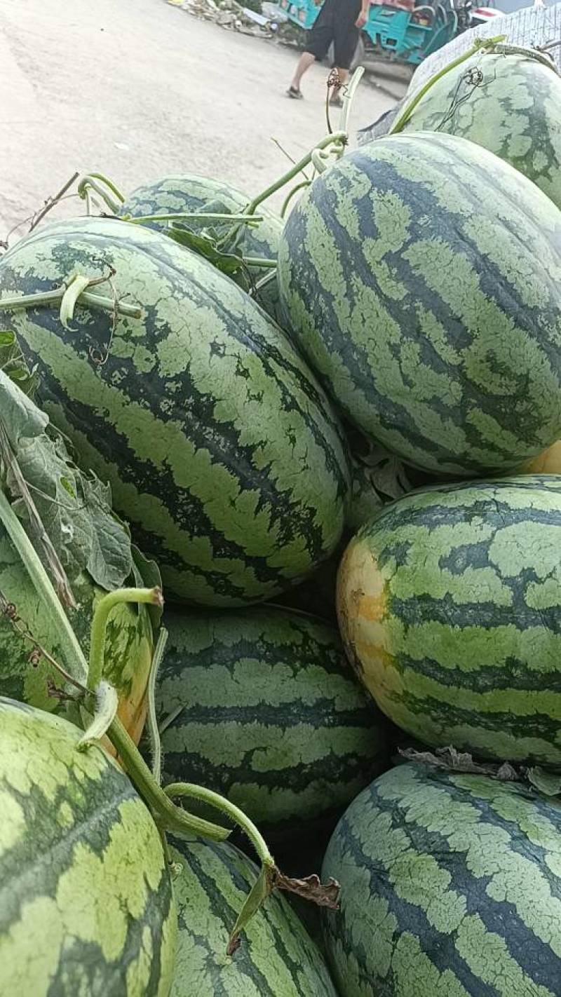 鼎盛大量上市