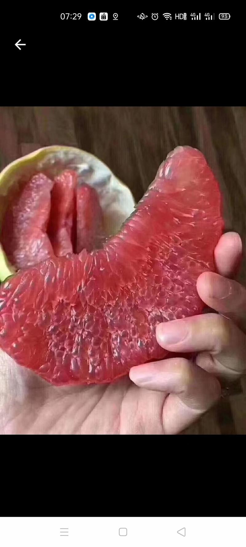 琯溪蜜柚