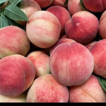 水蜜桃